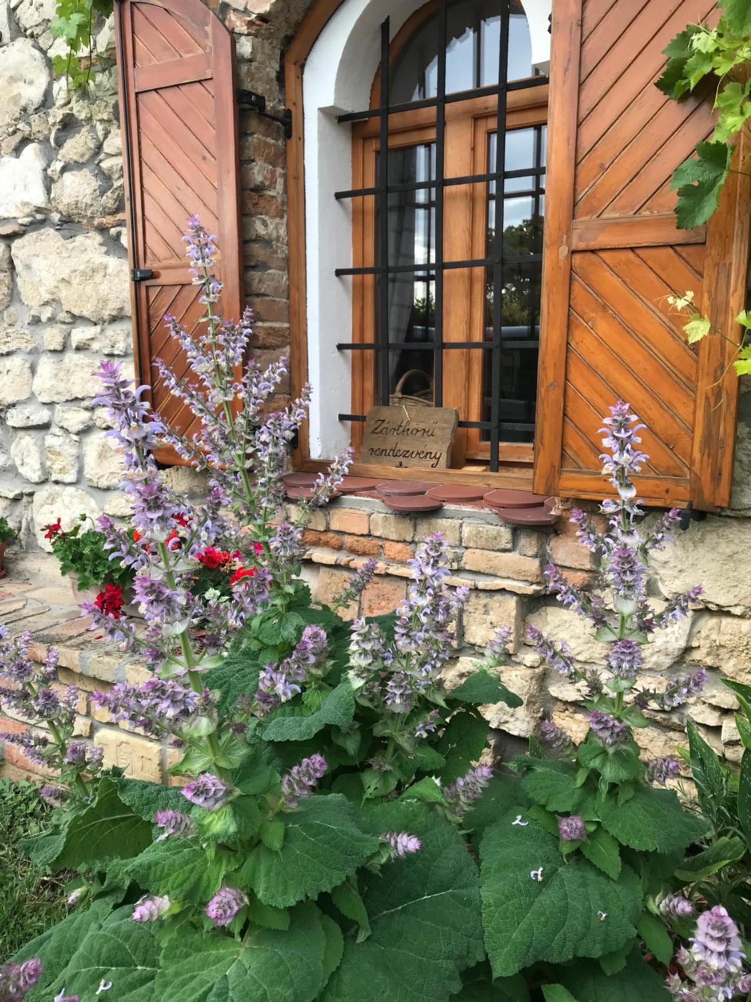 Cifrapince Es Vendeghaz Villa Tordas Buitenkant foto
